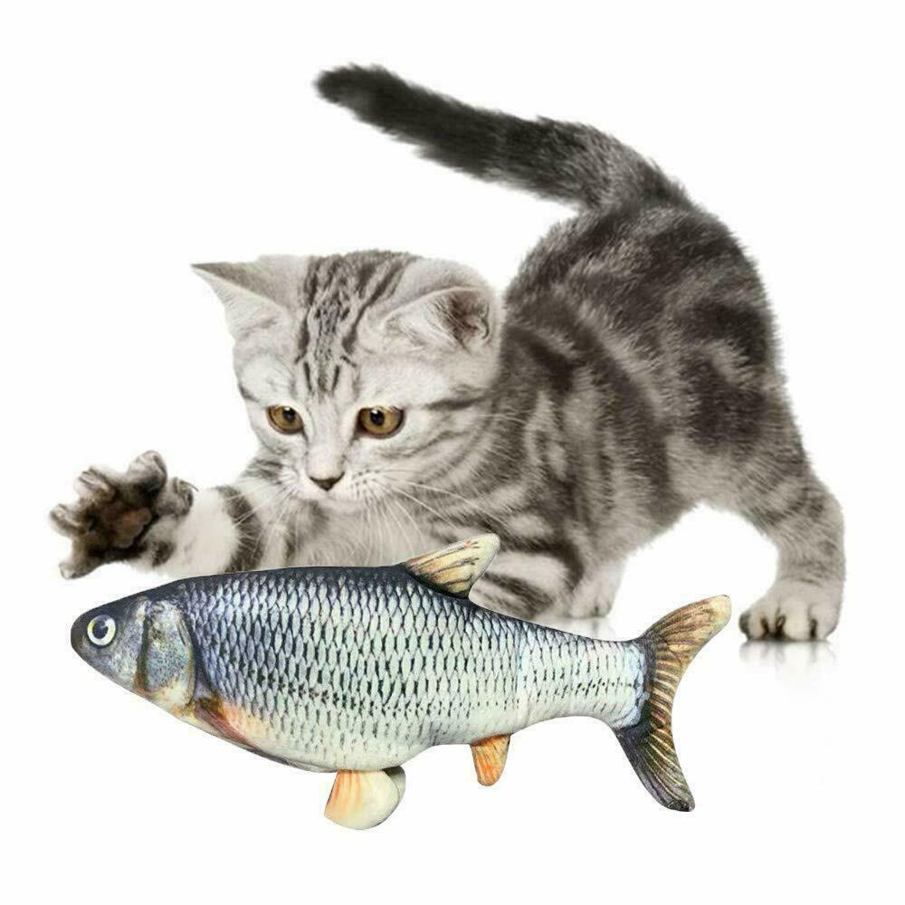 Jouet poisson pour chats Dropshipcenter